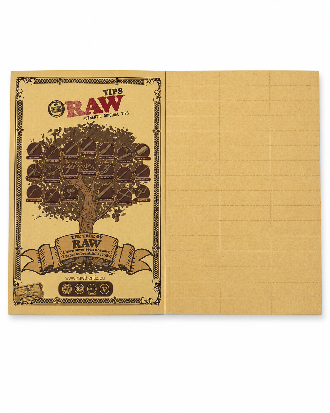 RAW Rawlbook 480 natürliche, unraffinierte Tipps in einem Buch