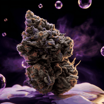 Zoaprano – Gasco Medical